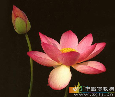 惭愧也是德行.jpg
