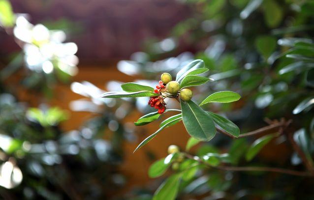 左手和右手的情谊