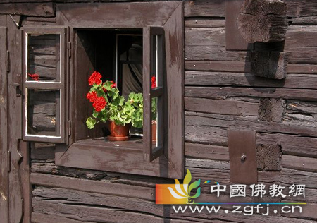 如果年轻时,人生有了污点