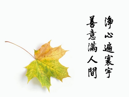 聪明与智慧的区分