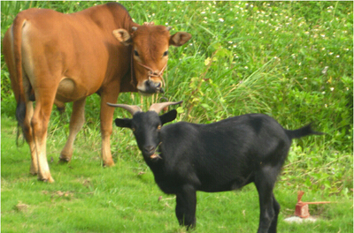 别杀我孩子 900万母亲血泪控诉.jpg