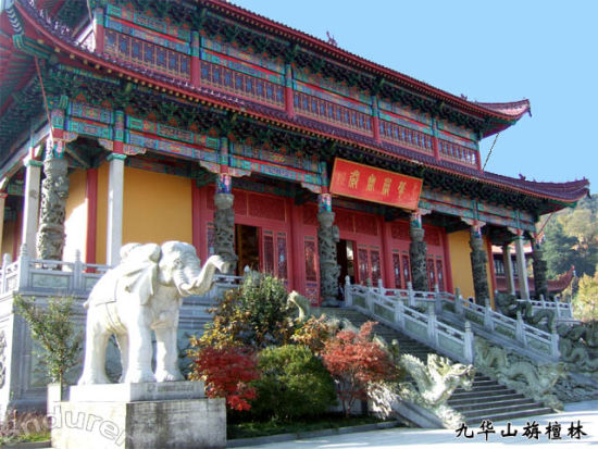 安徽青阳旃檀林