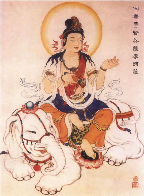 什么是普贤菩萨?