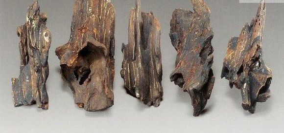 牛头旃檀有何功用?