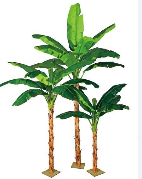 芭蕉在佛经中有何譬喻?