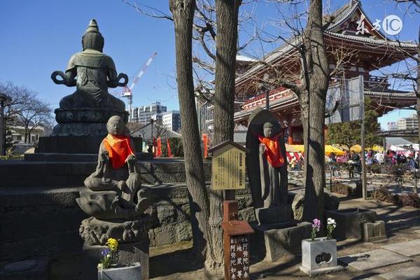 人类科学家惊人发现！许多人前生竟是飞禽走兽？