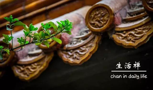 2017生活禅读书会02班I期招生简章