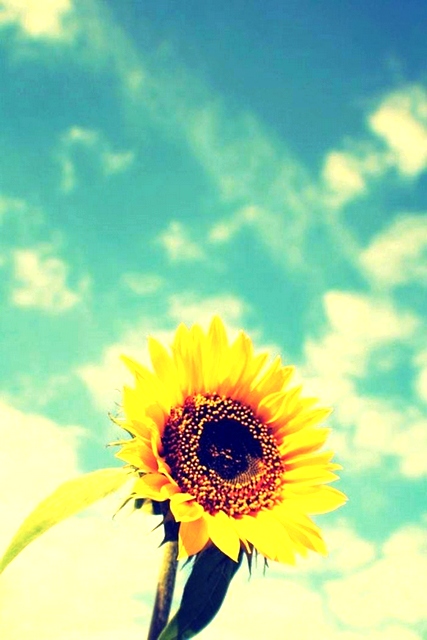 仁炟法师阳光人生公益讲座通知