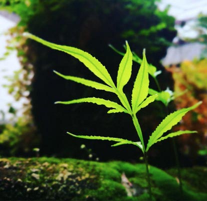 人生如逆旅 我亦是行人