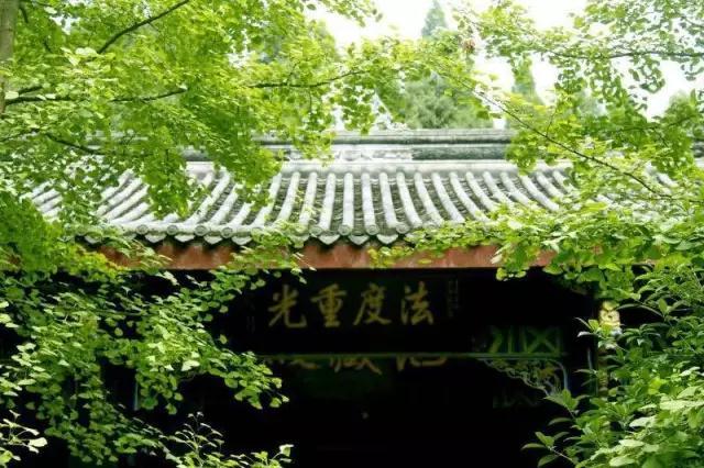 乐至报国寺四念处禅修技巧课程报名通启 