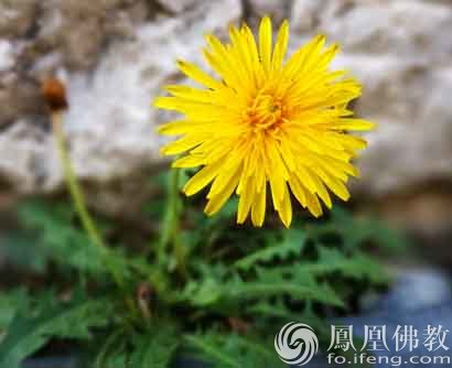 生活需要争取和奋斗