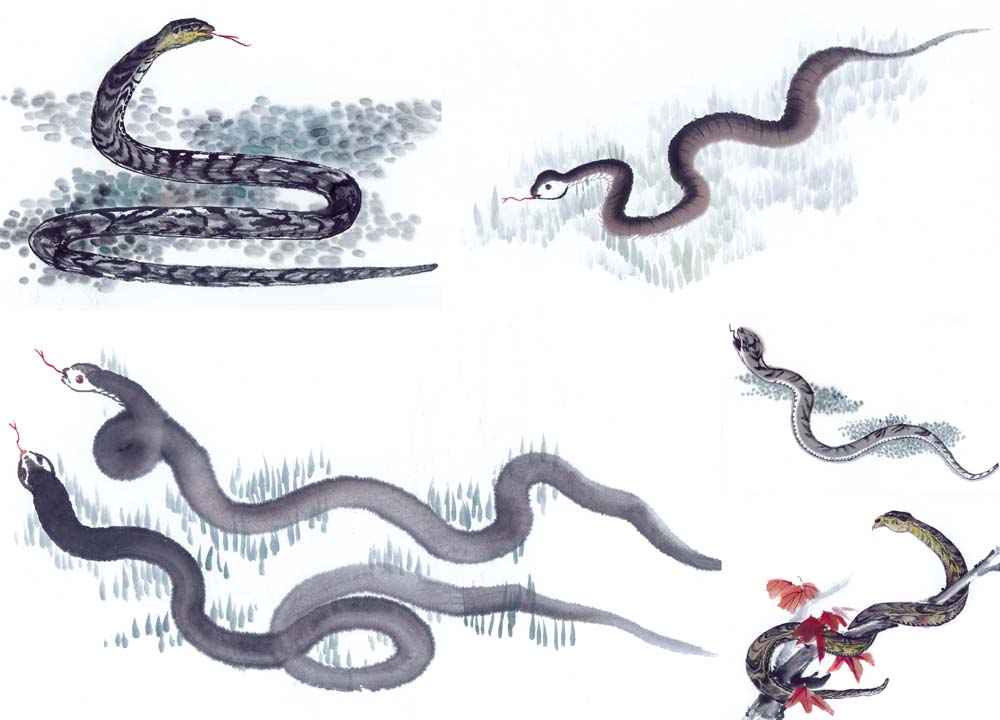 佛教中有哪些与蛇相关的用语?