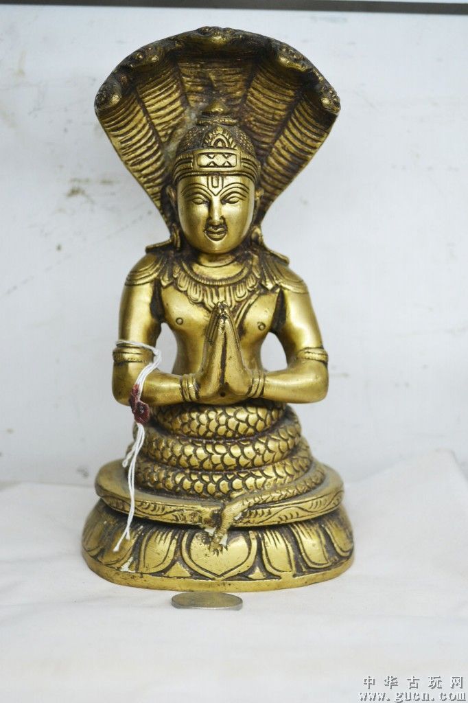 蛇在佛经中有何譬喻?