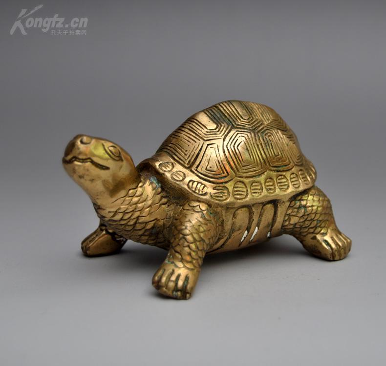 金龟 金龟