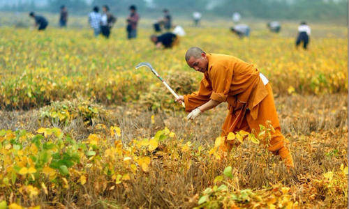 唐代禅林的经济状况怎么样?