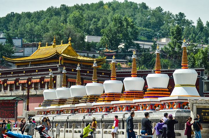 甘肃、青海、内蒙古等地的藏传佛教寺院有什么特点?