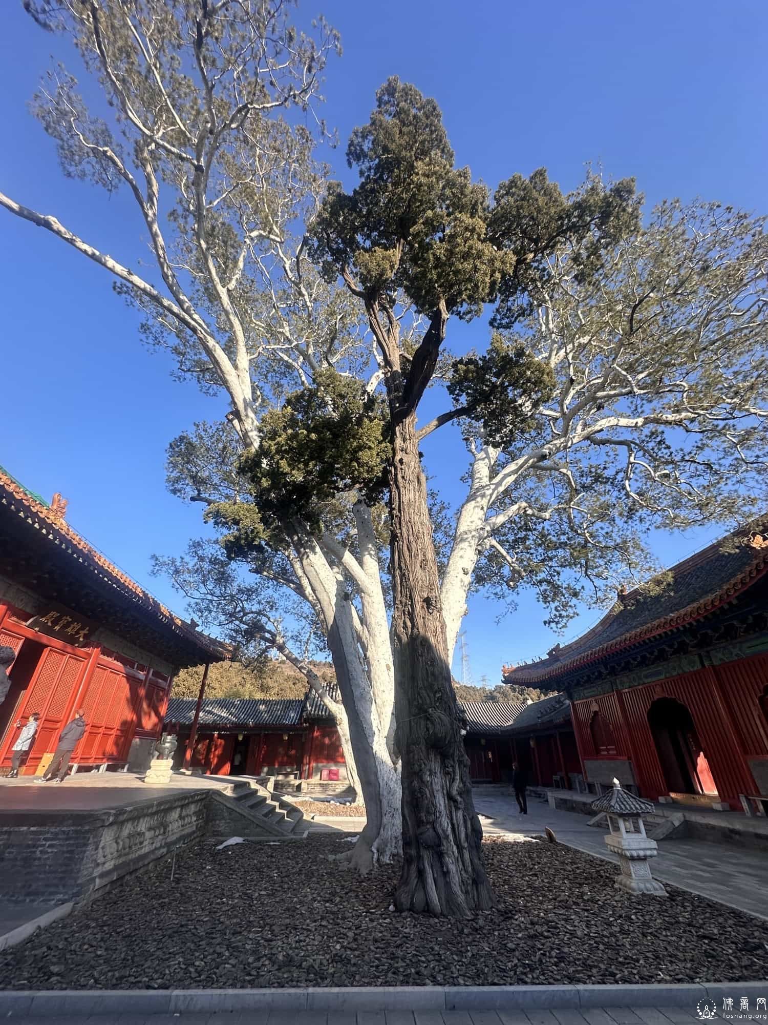 北京法海寺 北京法海寺